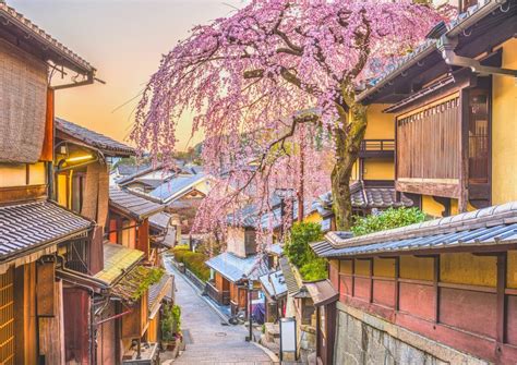 7 Best Places to Stay in Japan On a Budget